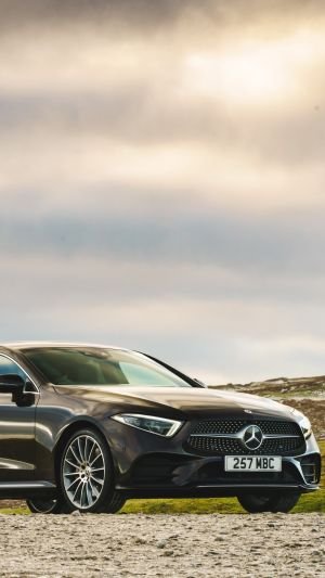 Wallpaper